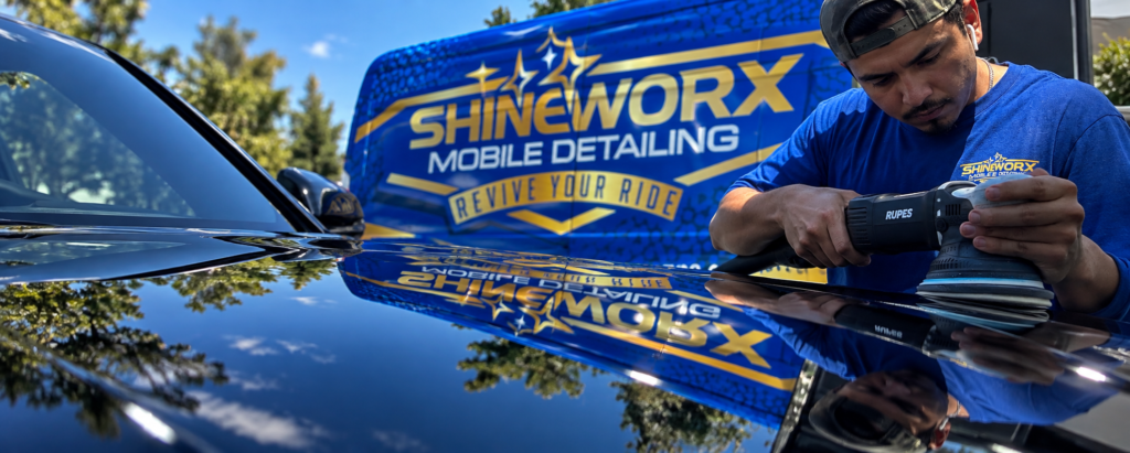 Shineworx branding reflected in freshly detailed vehicle paint
